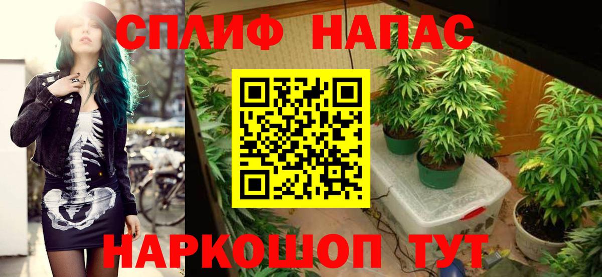 Конопля сатива  Каннабис ГИДРОПОН  Вход с VPN  Марихуана SATIVA & INDICA  Кыштым  Канабис MAZAR 